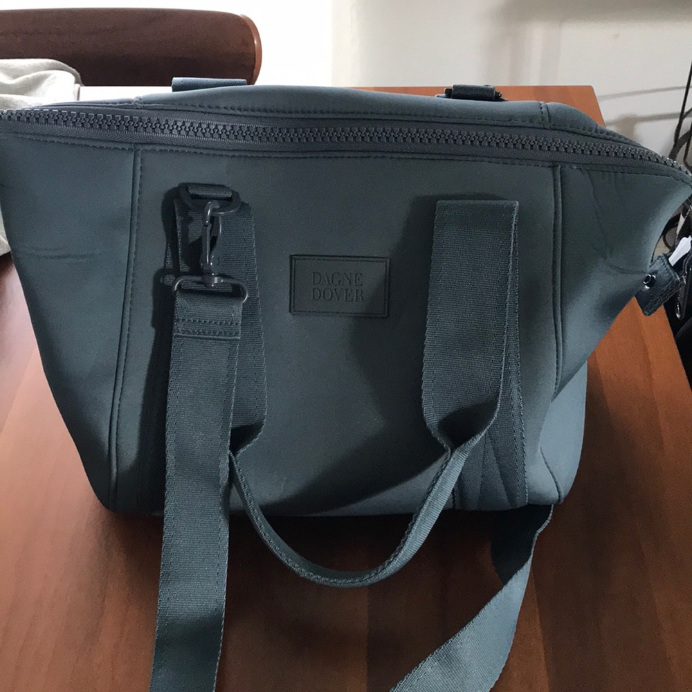 Dagne Dover Small Landon Carryall